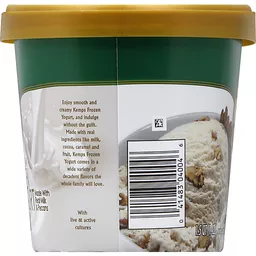 Kemps Smooth & Creamy Mint Chocolate Chip Frozen Yogurt 1.5 Qt, Frozen  Yogurt