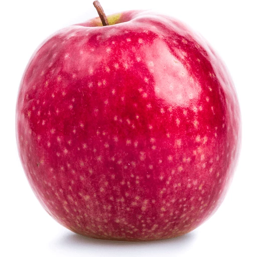 Raw Red Organic Pink Lady Apples Stock Photo - Download Image Now - Cripps Pink  Apple, Apple - Fruit, Adult - iStock