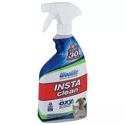 Woolite InstaClean Stain Remover 22 Fl Oz Floor Cleaners