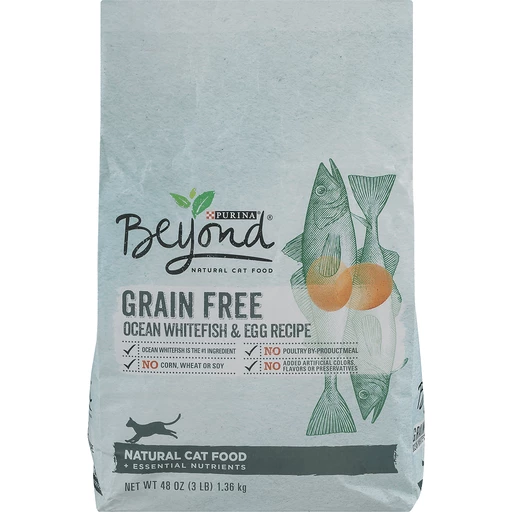 Beyond dry cat sales food