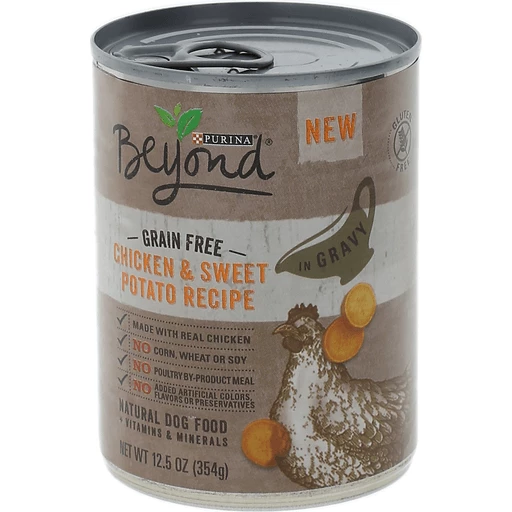 Beyond dog food canned deals