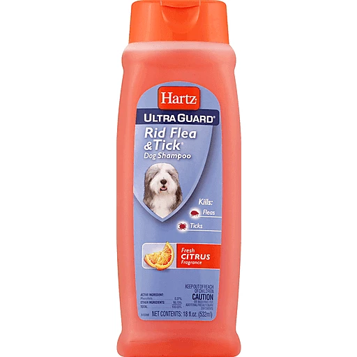 26KB 2001 null null null null null null null 1 2003 null zr7usvCo87AiFM