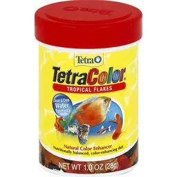 Tetra color fish sales food