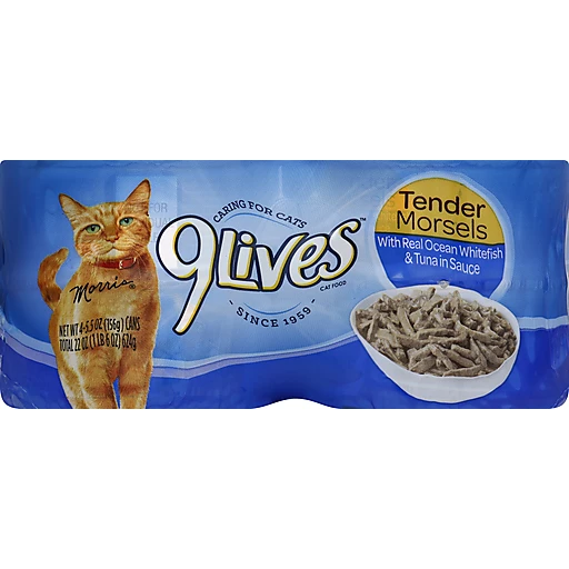 40KB 2001 null null null null null null null 1 2003 null cEh34zAI9jDAkM