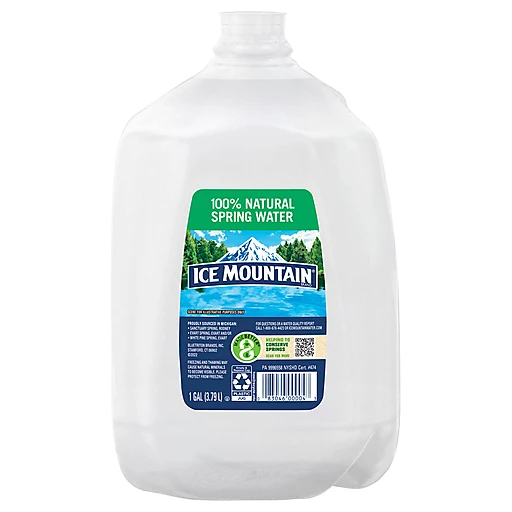 Spring Water Iga Iga River Spring Hd IGA Purified Drinking Water (16.9 Fl Oz) Delivery