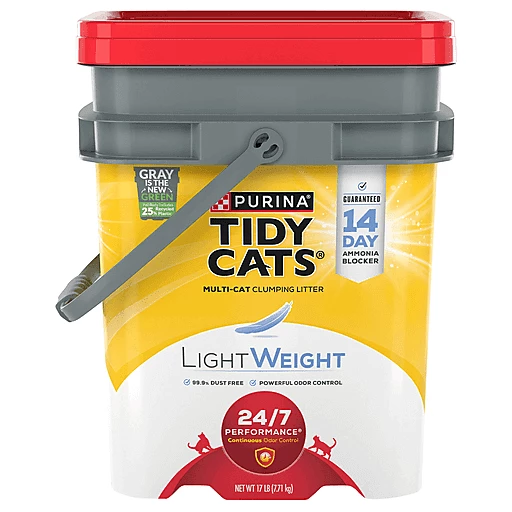 Tidy 2024 cat light
